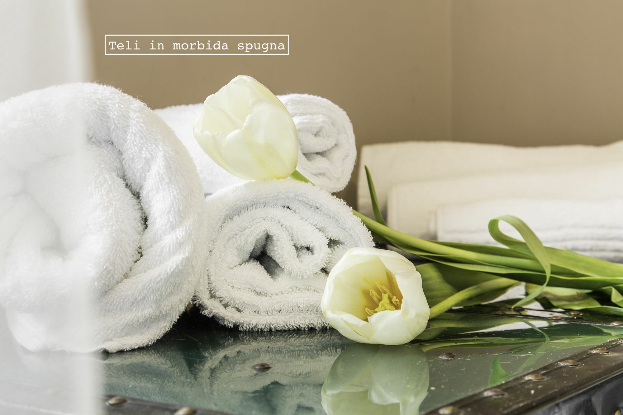Roma Talenti Breme B&B Dış mekan fotoğraf