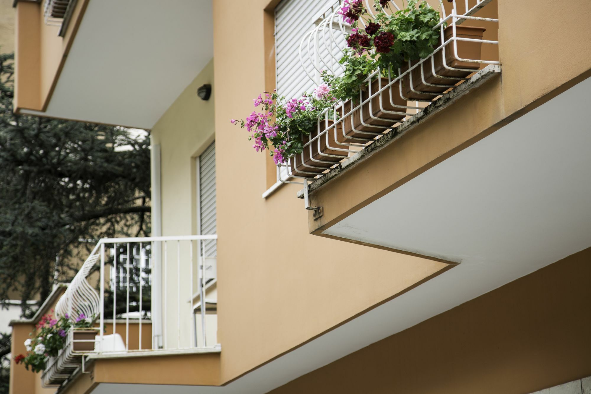 Roma Talenti Breme B&B Dış mekan fotoğraf